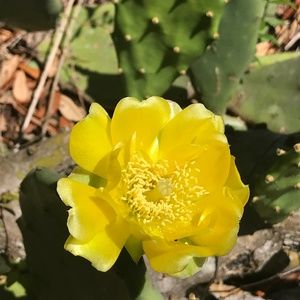 Meet your Posher, Doris